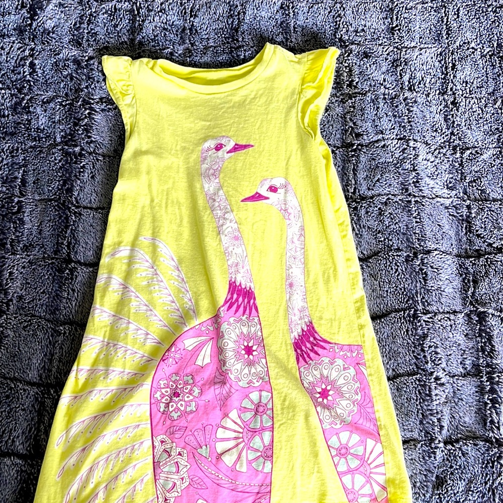 Girls size 8 Tea Collection dress